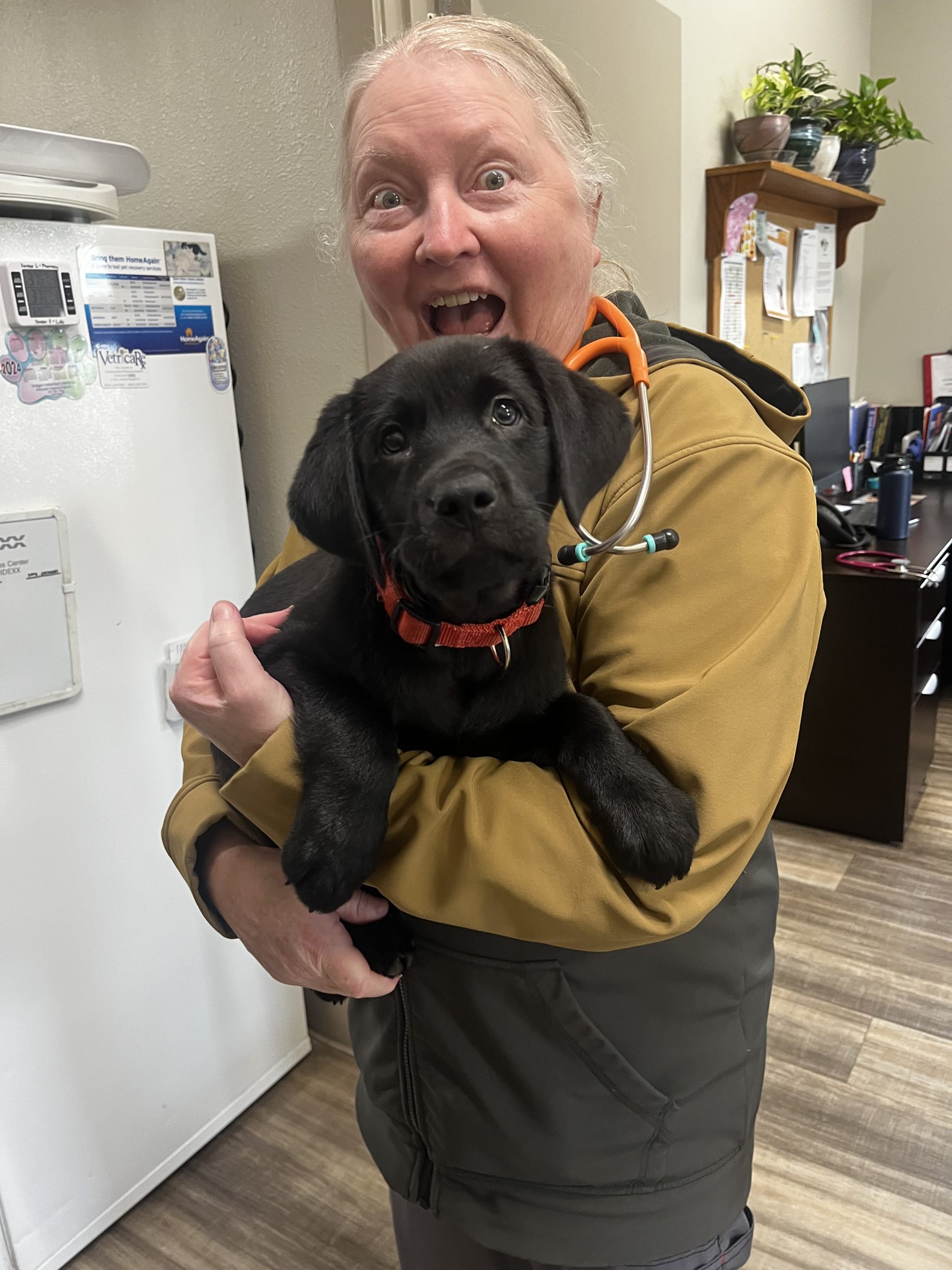 Photo Apr 02 2025, 10 47 06 AM (1)