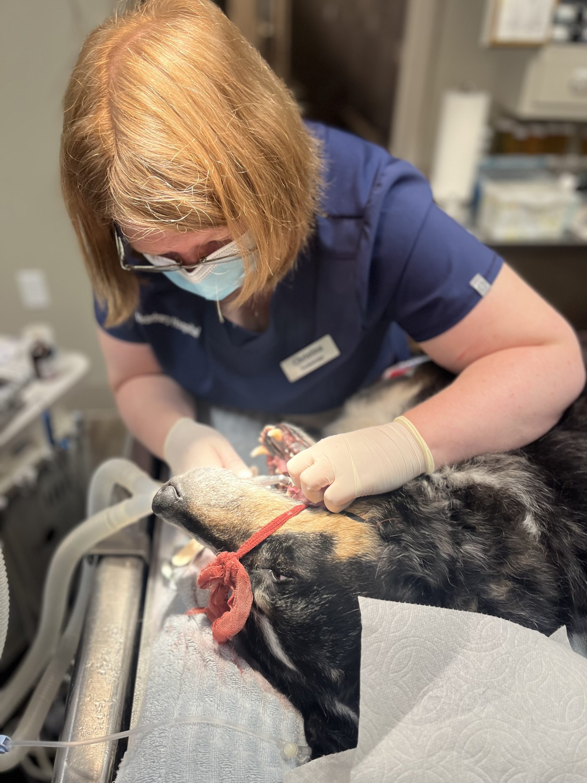 Photo Aug 30 2023, 12 24 27 PM