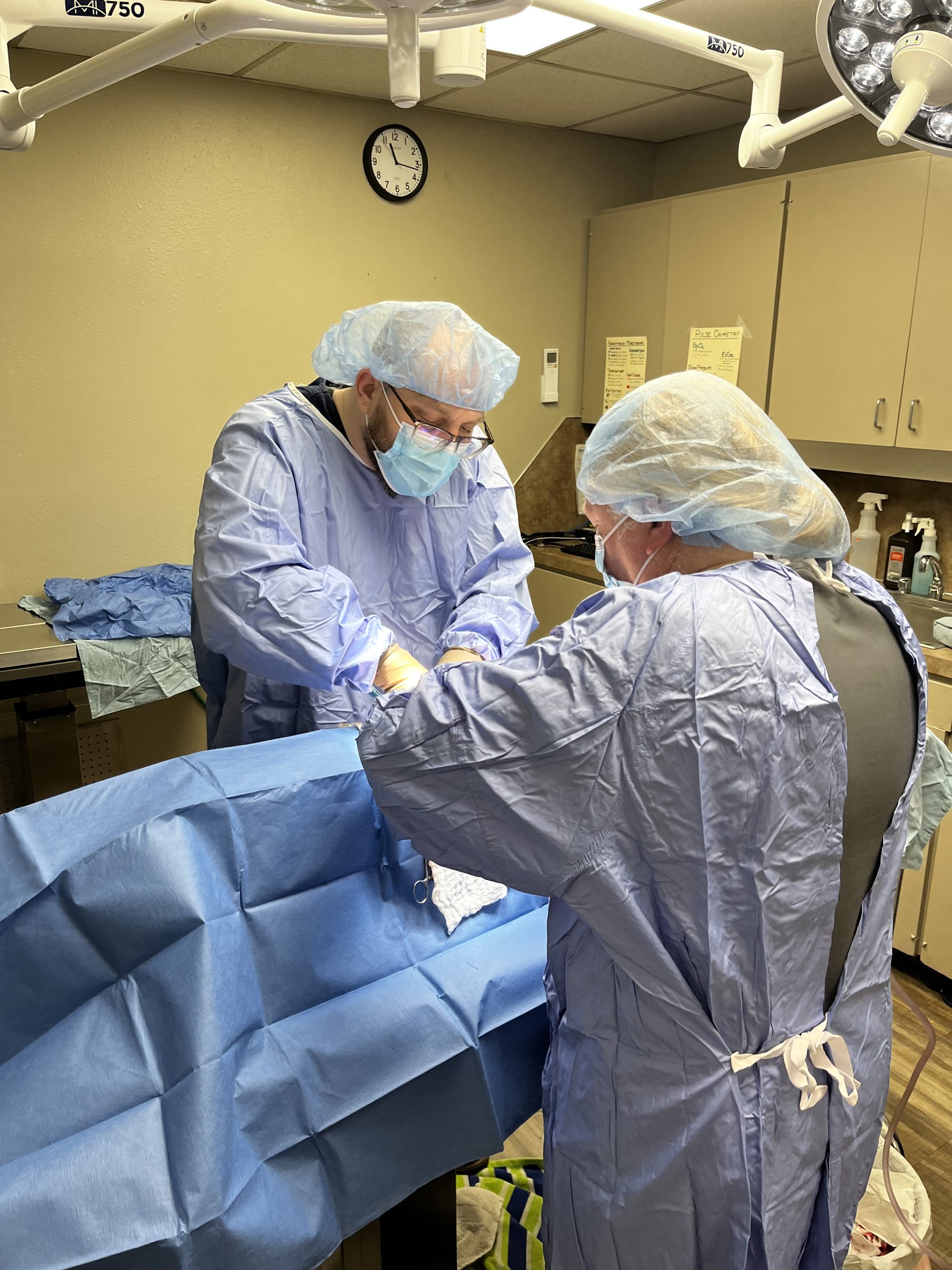 Photo Dec 04 2024, 11 16 46 AM