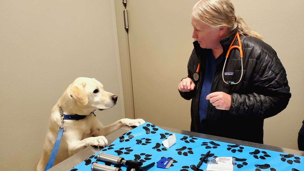 Photo Oct 21 2025, 9 12 43 AM