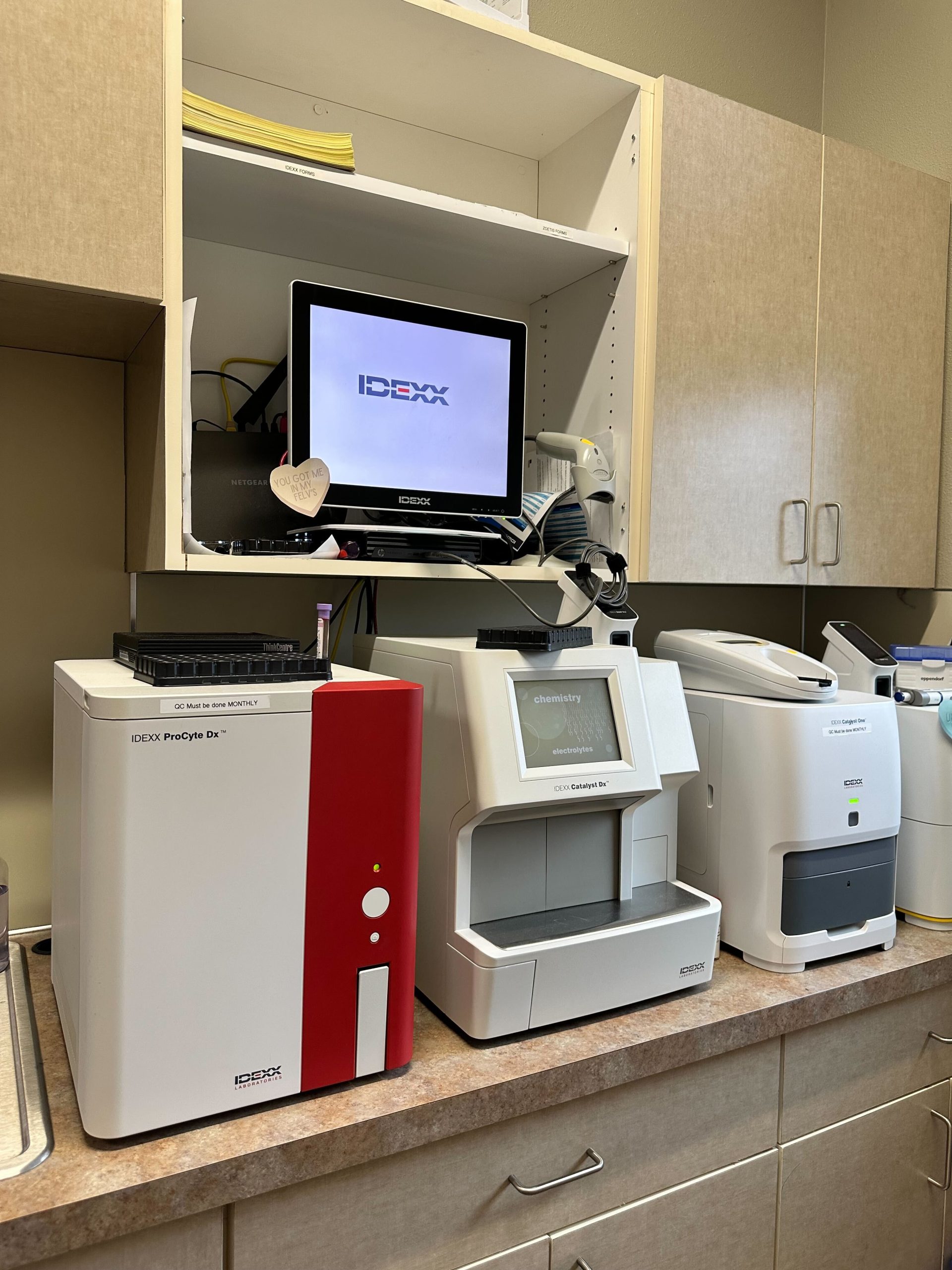 Linn Veterinary Hospital In-House Diagnostics